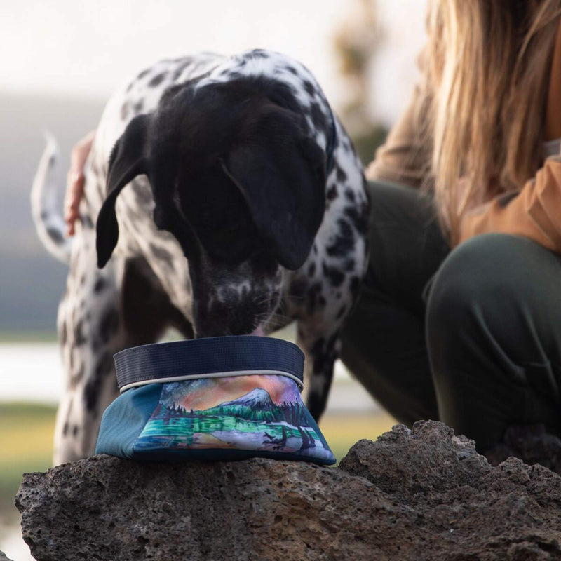 RUFFWEAR - Artist Series Quencher Bowl, Sparks Lake, Medium - PawsPlanet Australia