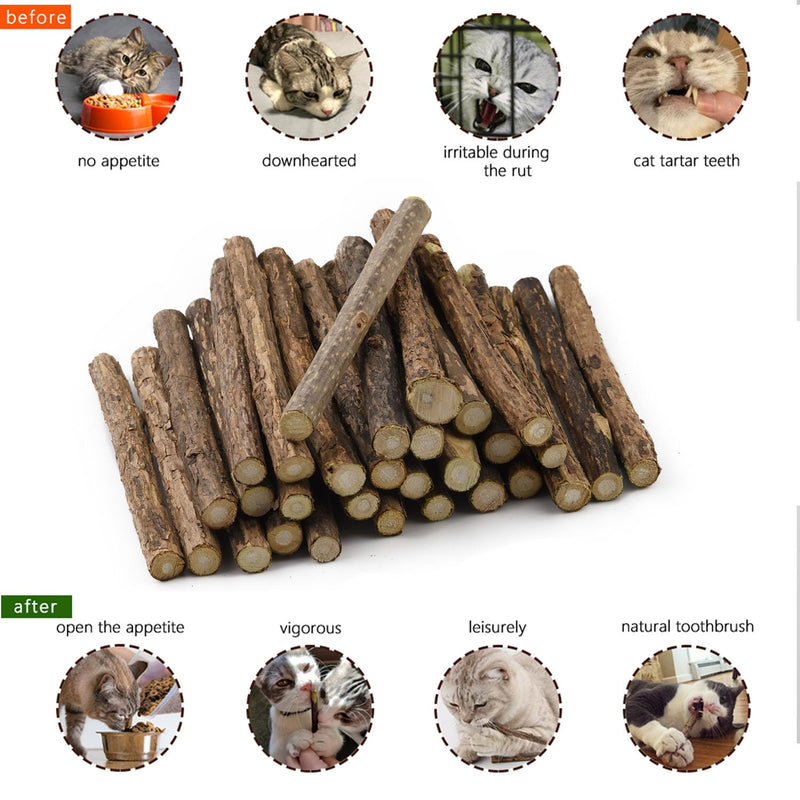 Pack of 30 catnip sticks, Matatabi cat chewing sticks, Matatabi chewing sticks as cat toys, catnip sticks for grinding teeth, Matatabi dental care - PawsPlanet Australia