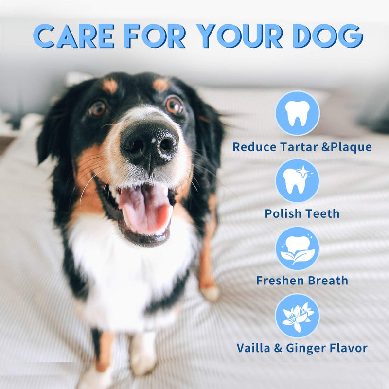 All for Paws Dog Toothpaste Dental Care Kit, Dog Tooth Cleaning Toothpaste and Brush, Helps Reduce Tartar and Plaque Buildup Peanut Butter-palm brush - PawsPlanet Australia