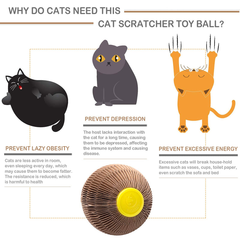 [Australia] - ARELLA Catnip Ball Toy for Cats Catnip Refillable Scratcher Ball Kitty's Faithful Playmate Reduce Obesity and Loneliness CSB01BR 