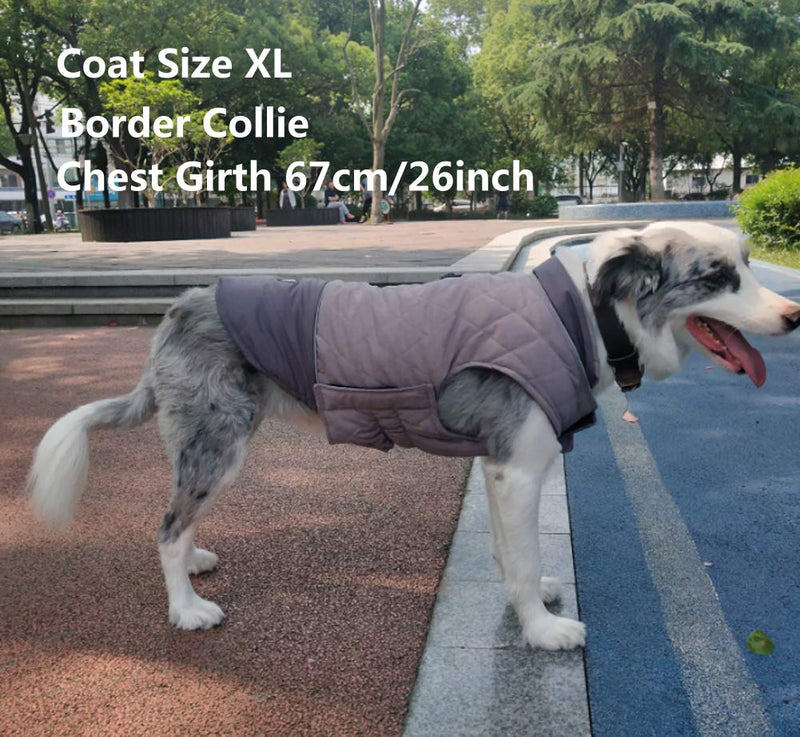 Rantow Reflective Dog Coat Winter Vest Reversible Loft Jacket - Water-Resistant Windproof Snowsuit Cold Weather Pets Cloth, 5 Colors 7 Sizes for Small Medium Large Dogs (XXL, Grey) XXL - PawsPlanet Australia