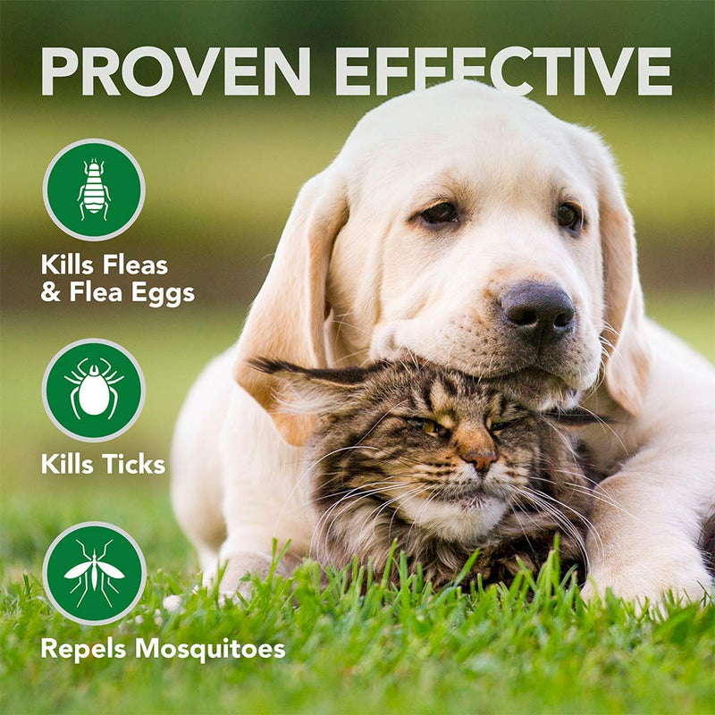 Vet's Best Flea and Tick Wipes for Dogs and Cats | Targeted Flea & Tick Application | Multi-Purpose Flea Treatment for Dogs and Cats | 50 Wipes - PawsPlanet Australia