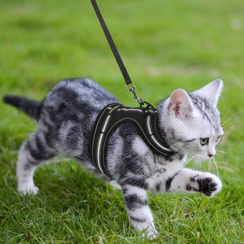 rabbitgoo Cat Harness and Leash for Walking Escape Proof, Adjustable Vest with Reflective Strip for Small Medium Cats, Comfortable Pet Jacket for Safety Outdoor Activity, Black, S(Chest:9.3" - 16.0") - PawsPlanet Australia