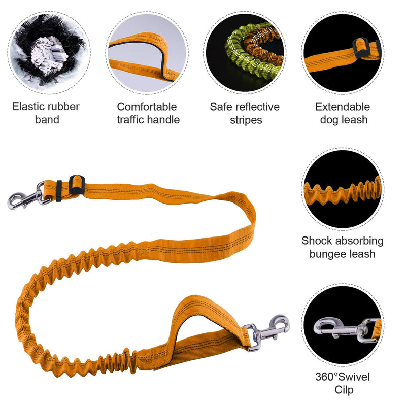 [Australia] - ThinkPet Hands Free Dog Leash for 2 Dogs - Shock Absorbing Bungee Leash for Medium to Large Dogs, Adjustable Waist Belt from 25.6" to 49", Dog Treat Pouch & Bottle Holder 