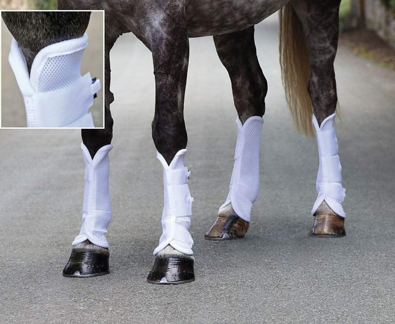 Shires Arma Fly Turnout Socks - Black Cob - PawsPlanet Australia