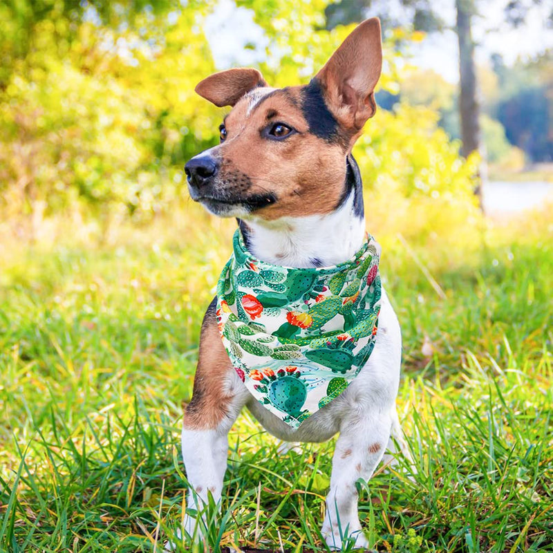 JOYLLYTAIL St. Patrick's Day Dog Bandana for Small Medium Large Dogs, 4 Pack Holiday Dog Bandana with Tropical Style for Summer, Green Pet Scarf with Hawaii Patterns - PawsPlanet Australia
