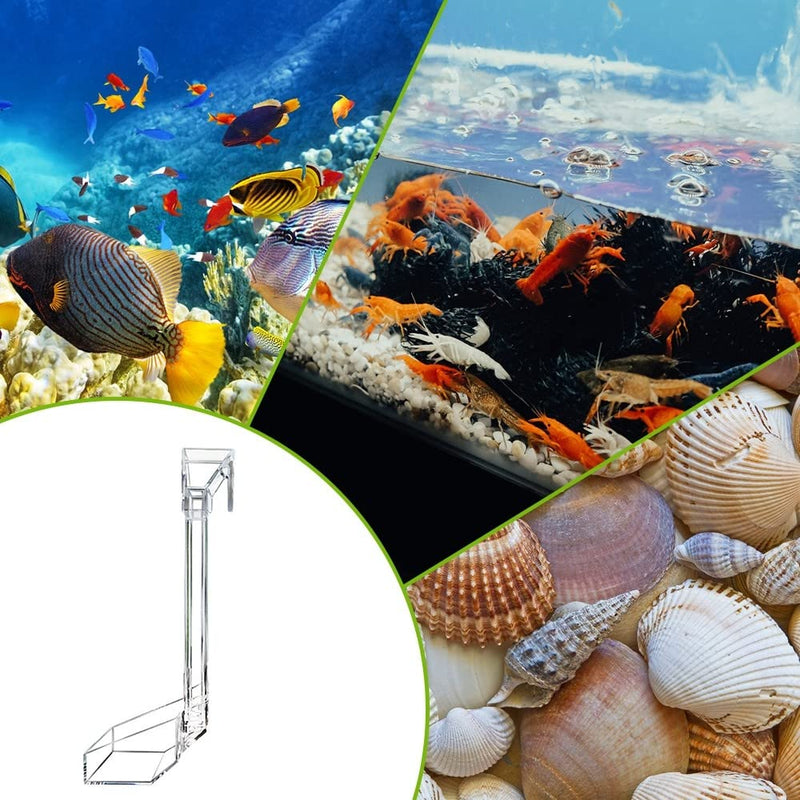 Shrimp Feeding Tube Tray,Acrylic Shrimp Feeder Feeding Dish Fish Feeder Tube for Fish Tank Aquarium S - PawsPlanet Australia