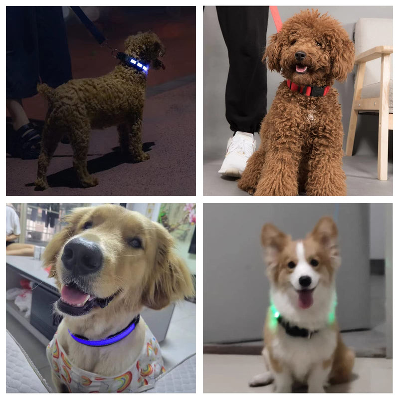 LED dog collar dogs, dog LED light collar, light collar for dogs, collar for dogs adjustable, pet safety collar with 3 lighting modes, for small medium large dogs green S - PawsPlanet Australia
