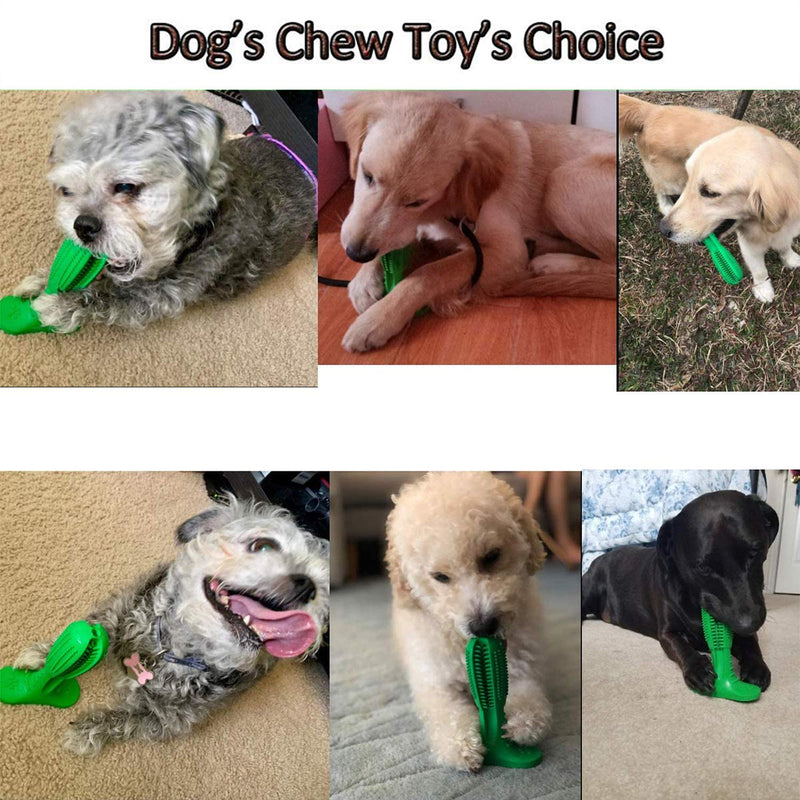 BDUK Dog Toy Dog Toothbrush Stick Dog Chew Toys Bite Resistant Nontoxic Natural Rubber Puppy Dental Care Brushing Effective Doggy Teeth Cleaning interactive Massager for Medium Dogs Pets,(Green) - PawsPlanet Australia