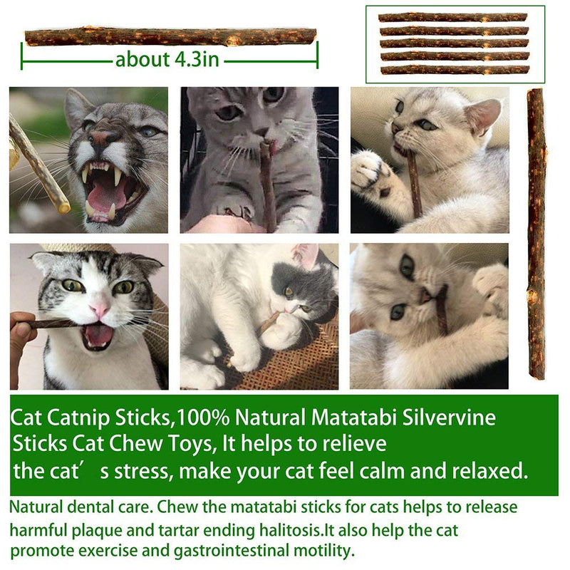 GaiusiKaisa Cat Toy Set 23 Pieces Funny Exercise Cat Interactive Toy Kitten with Play Mice, Feathers, Matatabi, Cat Fishing Rod, Balls, Fish - PawsPlanet Australia