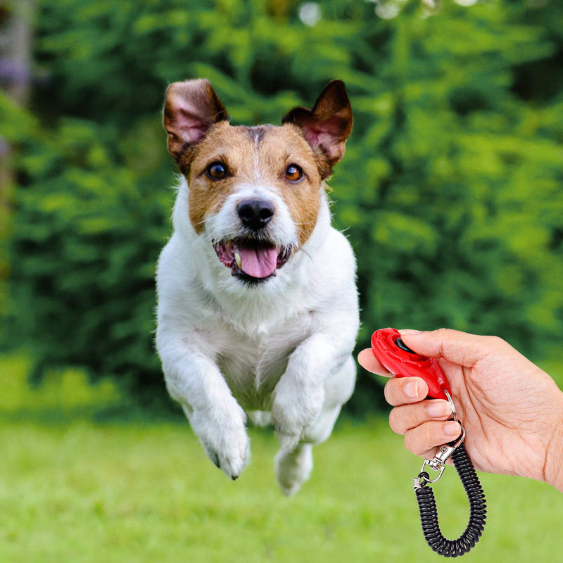 MaoXinTek Dog Training Clickers with Wrist Strap, Effective Pet Training Tools for Puppy or Cat Behavioral Training 4-Pack Colorful Sound Easy to Use Practical Button Clicker - PawsPlanet Australia