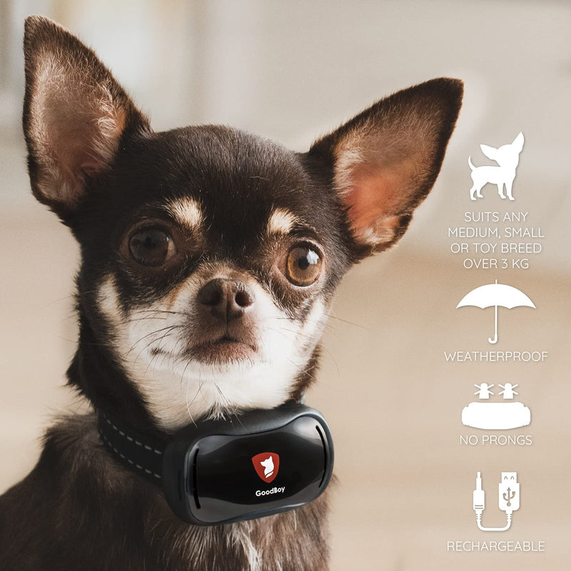 Small Dog Bark Collar by GoodBoy Rechargeable And Weatherproof Vibrating Bark Deterrent for Small And Medium Dogs Is Smallest & Most Safe On Amazon - No Spiky Prongs! (2,5+kg) - PawsPlanet Australia