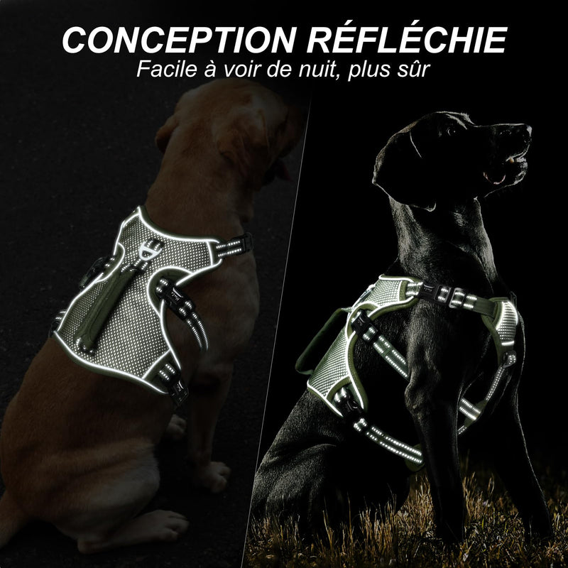 HEELE dog harness, escape-proof, buckle in the neck area, reflective, chest harness with robust handle, panic harness for dogs, dog harness with a stable impression, fits like a glove, green, S - PawsPlanet Australia