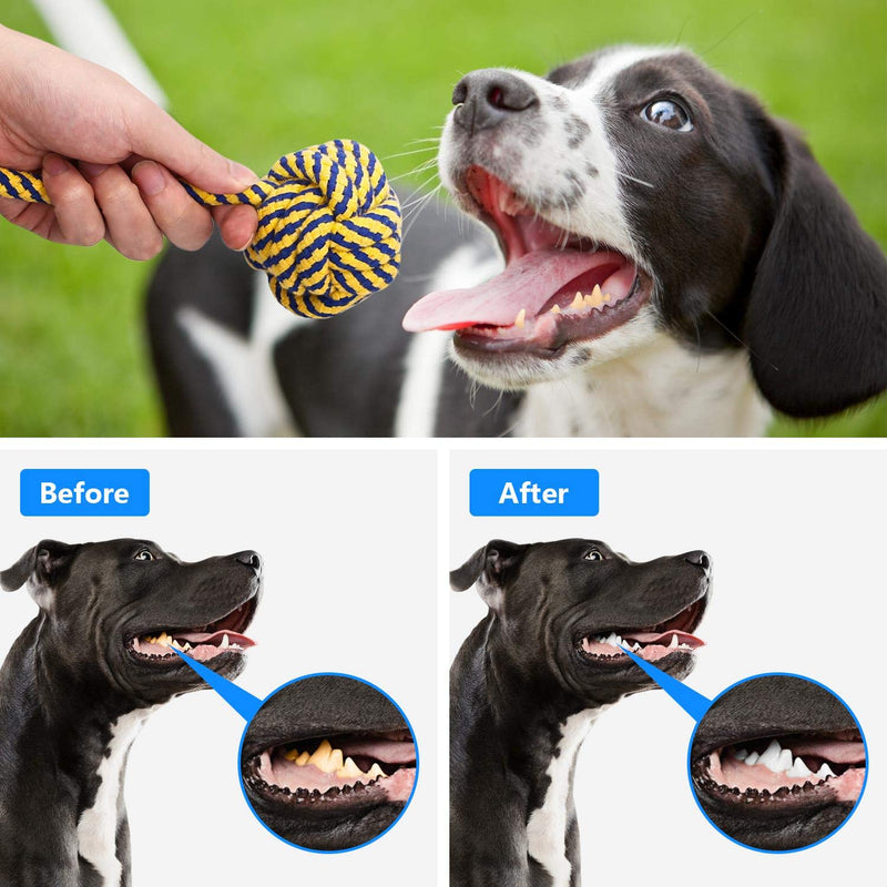 Nobleza - Pack of 10 Dog Toys, Ropes for Teething or Training, Dog Chew Rope Toy Durable Teething Pack for Puppy, knotted Cotton Toy, Ideal for Dental Care Dog Chew Toy Set with Box - PawsPlanet Australia