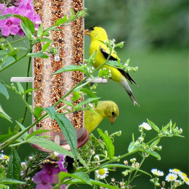 Urban Deco Niger Seed Feeder for Finch Hanging Thistle Seed Feeder Metal Tube Goldfinch Feeder for Garden Outdoor Copper - PawsPlanet Australia