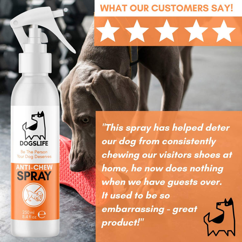 Anti Chew Spray | Stop Dog Chewing Spray | Safe Bitter Chew Deterrent Works On Household Items & Furniture | Stop Puppies Chewing, Biting + Licking Spray | Proudly Made In The UK Anti Chew Spray 250ml - PawsPlanet Australia
