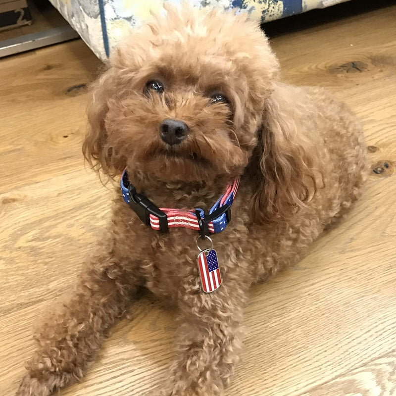 [Australia] - MGpets American Flag Dog Collar and Rope with nameplate in 3 Different Sizes M 14"-21" Neck 