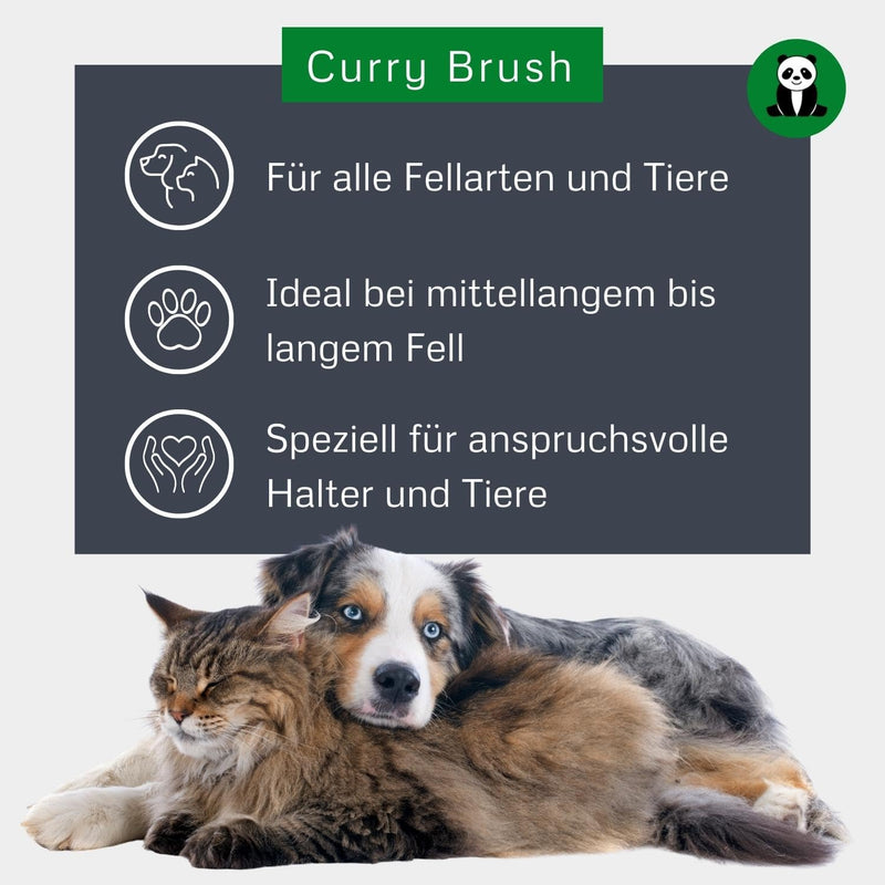 BAMBOO GROOM Curry Brush I curry comb with soft rubber nubs I dog brush for all coats I brushes for grooming made of bamboo I fur brush for cleaning fur I brush for cats and dogs Curry brush with rubber bristles - PawsPlanet Australia