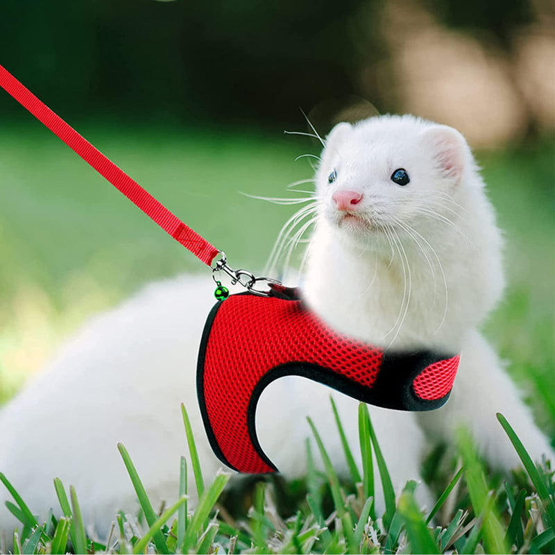 Rabbit harness, adjustable rabbit leash, rabbit harness, rabbit harness, mesh rabbit harness with leash, breathable rabbit leash for small animals, hamsters, guinea pigs, cats, pack of 2 - PawsPlanet Australia