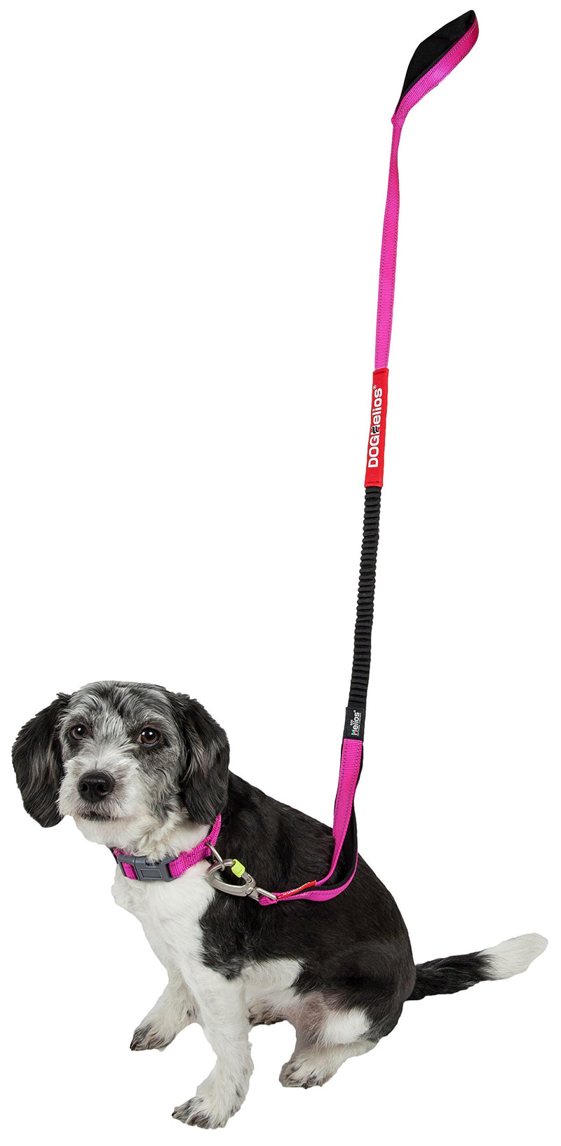 [Australia] - DOGHELIOS 'Neo-Indestructible' Embroidered Thick Durable Pet Dog Leash and Collar, Large, Pink 