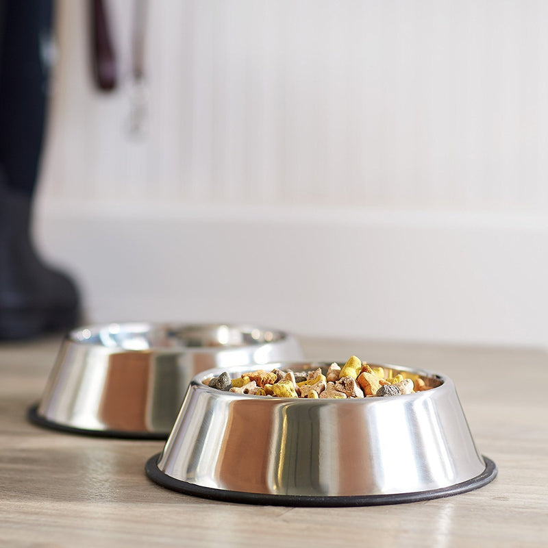 PETS EMPIRE Stainless Steel Dog Bowl (Medium, Set of 2) - PawsPlanet Australia