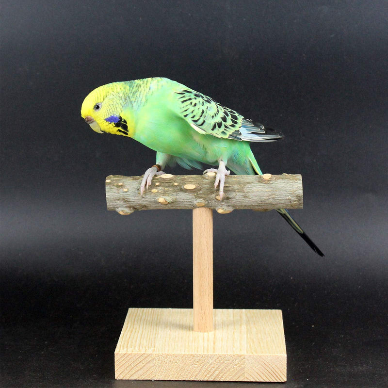 QBLEEV Bird Tabletop Training Stand Perch，Portable Parrot Tee Play Stands, Natural Wood Bird Cage Toys Gym Playground for Small Medium Parakeets Cocktails Conures Lovebirds Finch - PawsPlanet Australia