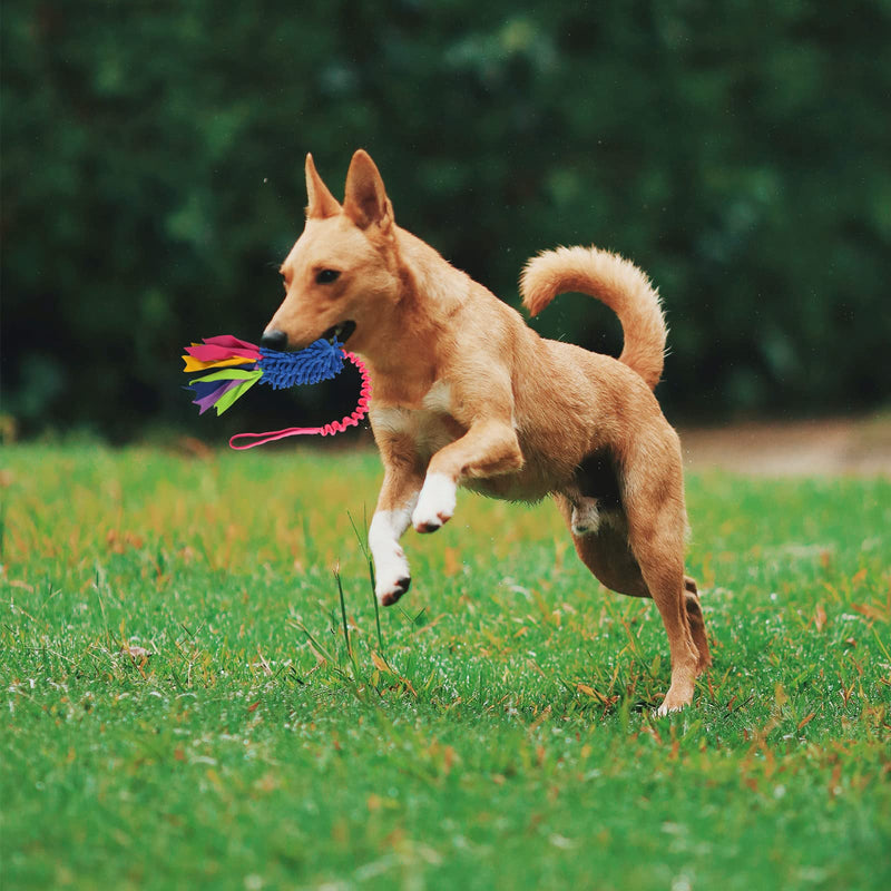 Dog Tug Toy,Dog Toys for Aggressive Chewers Dog Rope Toy with Strong Squeak - Easy to GRAP Large Dog Chew Toy Ideal for Training for Puppy, Middle Dog Play,Hand Made Blue Chenille, Red Webbing - PawsPlanet Australia