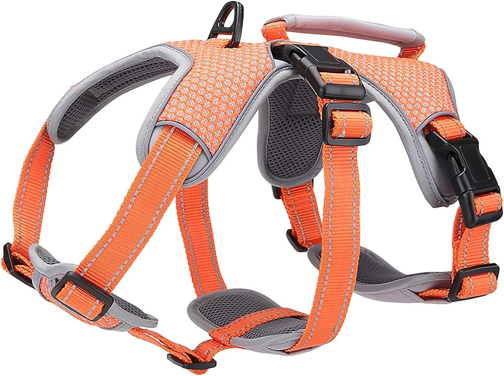 BELPRO Multi-Purpose Dog Harness, Escape Proof, No Pulling, Reflective, Adjustable Vest with Heavy Duty Handle, Dog Harness for Large/Active Dogs (Orange, M) M (1 Pack) Orange - PawsPlanet Australia