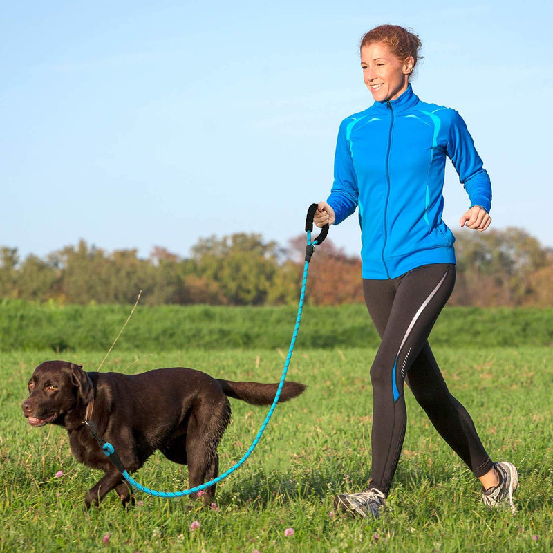 Home-Neat 5 FT Strong Dog Lead with Comfortable Padded Handle and Highly Reflective Threads for Small, Medium and Large Dogs (Blue) Blue - PawsPlanet Australia