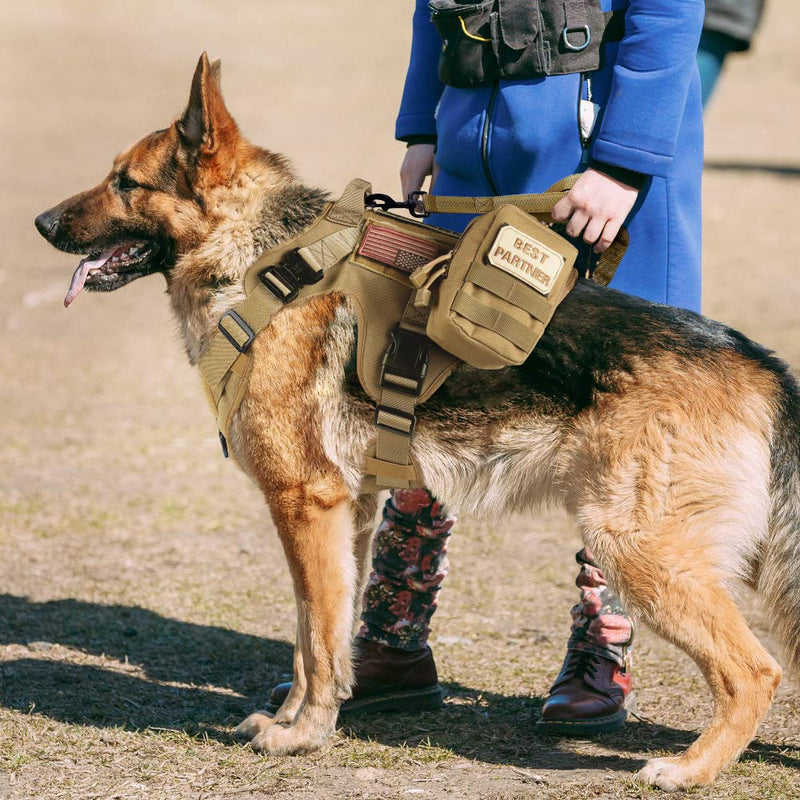 [Australia] - rabbitgoo Tactical Dog Harness and Bungee Dog Leash Set for Large Medium Dogs, MOLLE Vest for Service & Training Military Dogs Adjustable Training Hunting Dog Tactical Vest with Handles & Metal Buckle M: Neck (16.4-28.5"). Chest (25.4-36.0”) Tan 