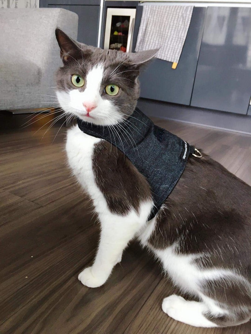 Mynwood Cat Jacket/Harness Black Denim Adult Cat - PawsPlanet Australia