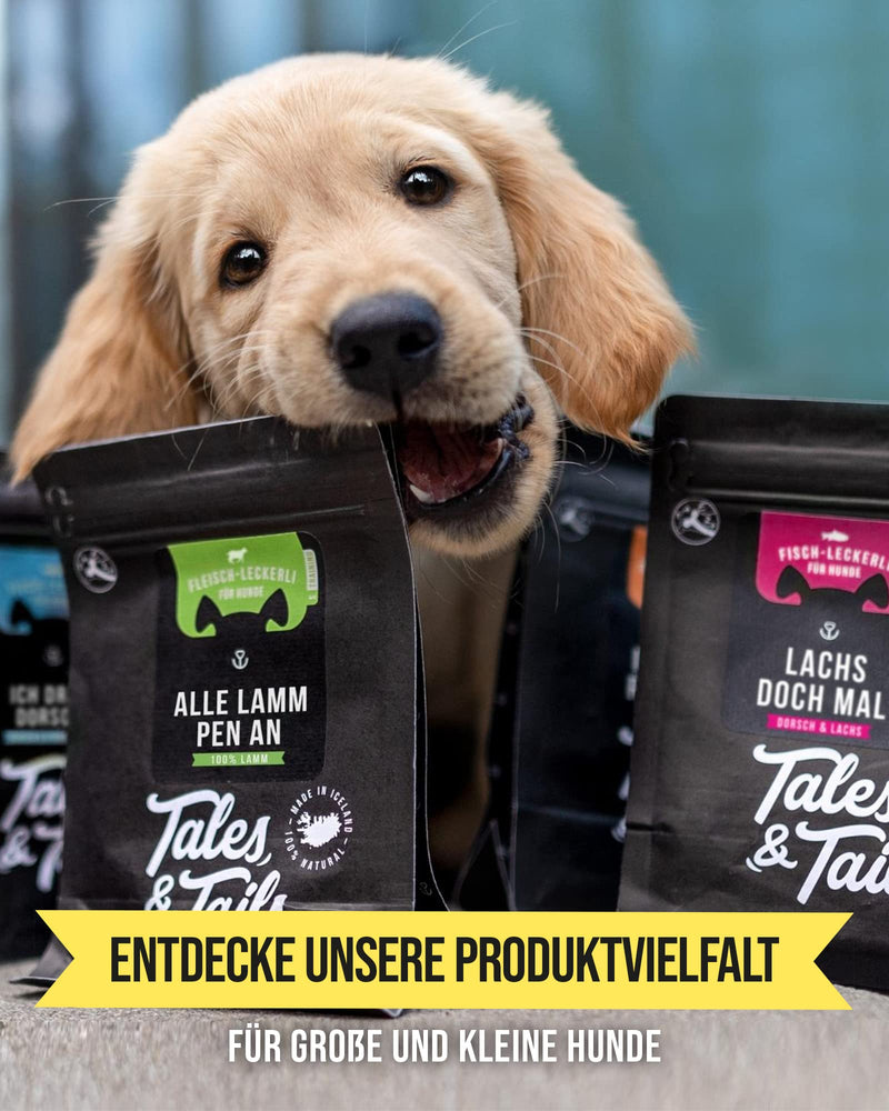 Tales & Tails® - Food tube for dogs I Training and rewarding on the go I Recall training I Dog encounters I fits in every jacket pocket (pack of 1) 80 ml (pack of 1) - PawsPlanet Australia
