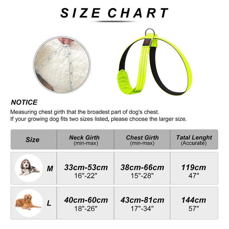 PZRLit LED Dog Harness Luminous for Dogs, Luminous Harness Dog Vest Rechargeable, Soft Padded, Adjustable and Reflective, Illuminated Dog Harness (Green, Large) Green Large - PawsPlanet Australia