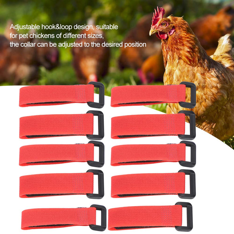 5Bag Anti-Hook Rooster Collar Nylon No Crow Rooster Collar Noise Free Neck Belt Pet Chicken Supply - PawsPlanet Australia