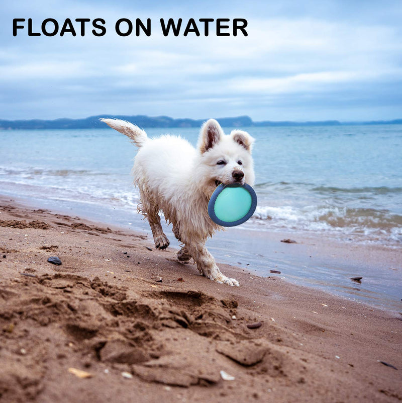 [Australia] - Funsparks Easy Disk Dog Flying Disc - Interactive Dog Fetch Toy - Durable and Easy on The Teeth - Simple to Toss – Lightweight Puppy Toy - Floats on Water 