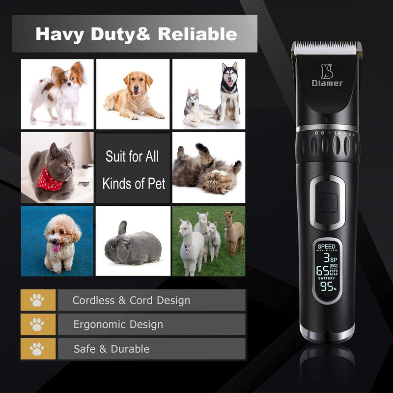 [Australia] - Professional Dog Grooming Clipper Kit, Pet Hair Clipper with 3-Speed Detachable Blade, Rechargeable Cordless, Quiet Heavy-Duty，Perfect Pet Grooming Tools for Small/Medium/Large Dogs Cats and More 