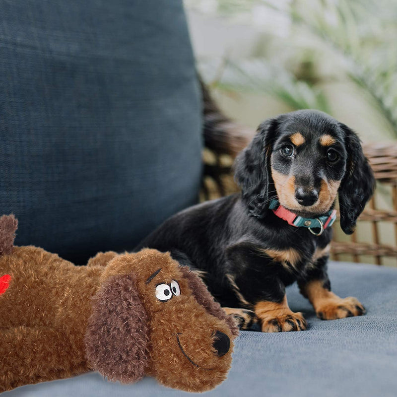 ALL FOR PAWS Snuggle Pet Heart Beat Behavioral Aid Plush Toy, Heart Beat Behavioral Aid Toys for Puppies, Puppy Anxiety Relief Toy Heart Beat Dog - PawsPlanet Australia