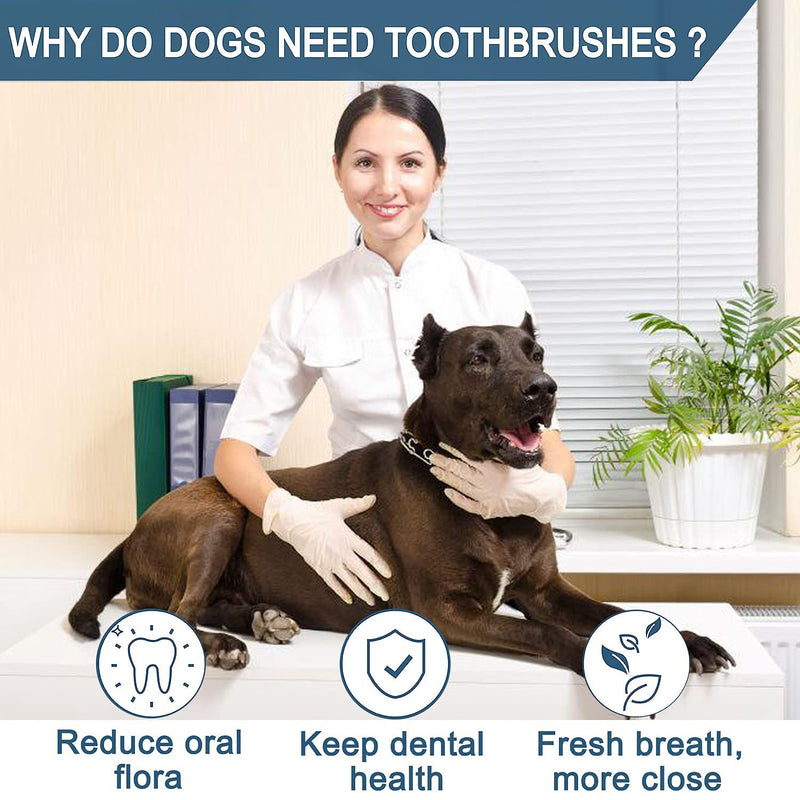 Bileumec Dog Toothbrush Fingerling - 360° Silicone Bristles, Ergonomic Design, Easy to Use, Dental Care for Dogs (Pack of 4) - PawsPlanet Australia