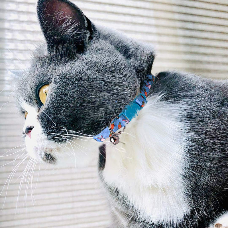 [Australia] - JPB Breakaway Cat Collar Kit - Kitten Collars with Bell in Egg and Rabbit Design 