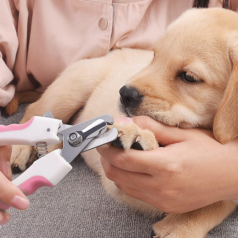 Clyhon Claw Scissors Claw Cutter for Dogs and Cats - Professional Claw Clippers Stainless Steel with Nail File, High Quality Claw Care Cutter with Spacer for Pets - PawsPlanet Australia