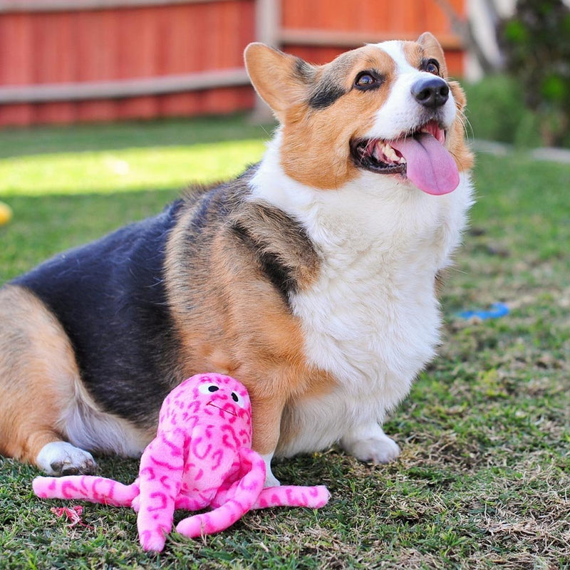 [Australia] - ZippyPaws - Floppy Jelly Squeaky Plush Dog Toy, Pink 