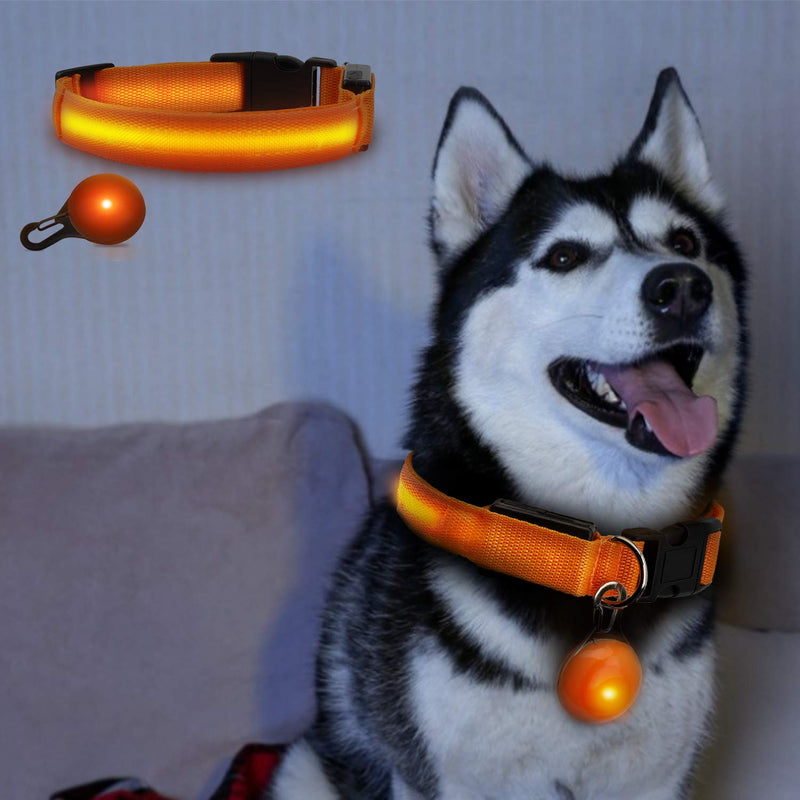 SNUNGPHIR Led Dog Collar, USB Rechargeable LED Dog Safety Collar, Super Bright USB Rechargeable and Waterproof Dog Collar with 3 Modes Flashing for Small/Medium/Large Dog-XS XS (28-38 cm/9-11 in) - PawsPlanet Australia