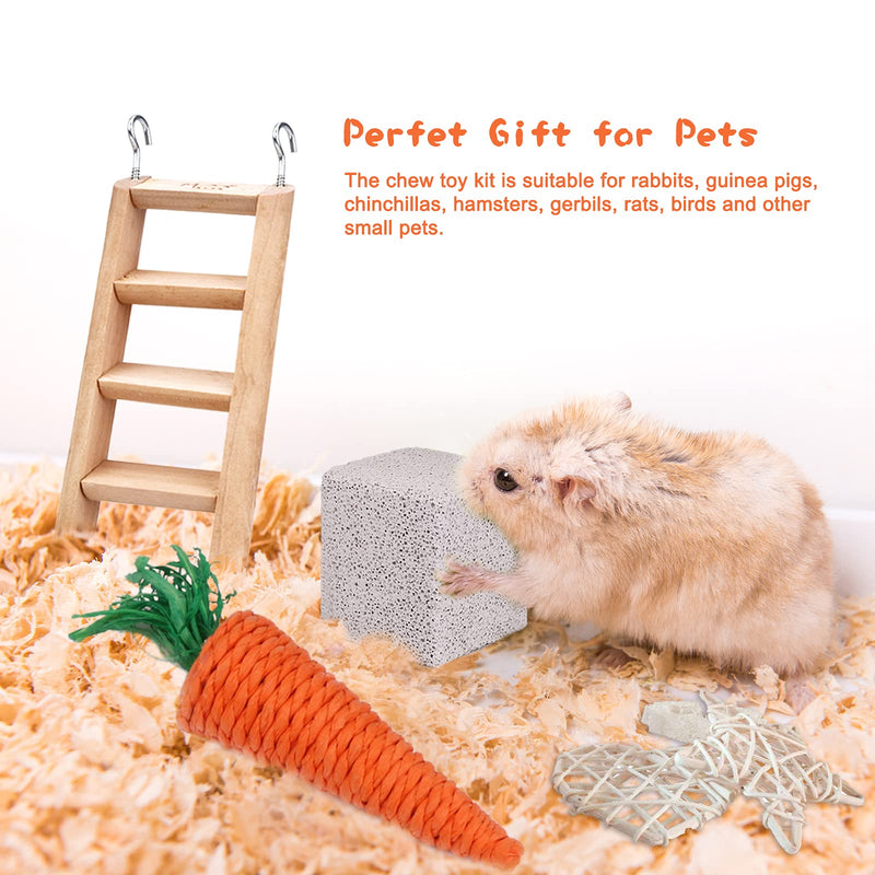 YUEPET Chinchilla Toys Guinea Pig Gerbil Rat Hamster Chew Toys Accessories Natural Wooden Seesaw Ladder Teeth Care Molar Toy for Bunny Rabbits Gerbils (Pack of 10) - PawsPlanet Australia