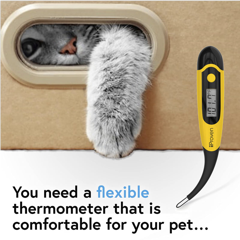 iProven Pet Thermometer (Termometro) for Accurate Fever Detection, Suitable for Cats/Dogs, Waterproof Pet Thermometer, Fast and Accurate Measurements in 20 Seconds - DT-K117 - PawsPlanet Australia
