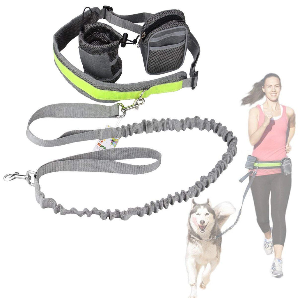 Cadrim dog jogging leash with adjustable hip belt bungee leash for hands-free running/cycling gray - PawsPlanet Australia