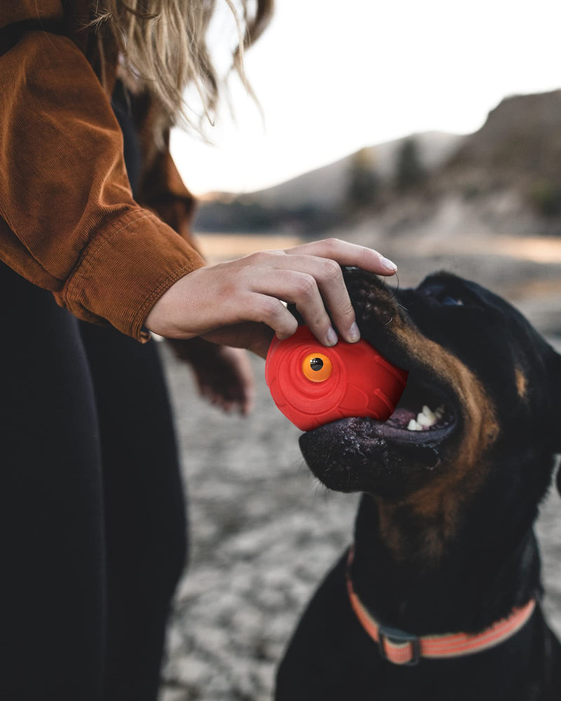 Giggle Ball for Dogs Interactive Dog Toys for Aggressive Chewers Dog Ball Toy for Puppy Medium Large Dogs Natural Rubber Cute Owl Hoot Fun Giggle Sounds When Rolled or Shaken Red Owl - PawsPlanet Australia