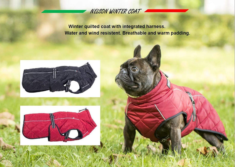 CHIARA Nelson Winter Coat for Dogs - Harness and Warm Fleece Integrated, XL - PawsPlanet Australia