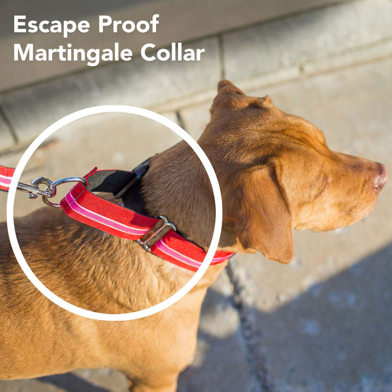 [Australia] - If It Barks - 1.5" Martingale Collar for Dogs - Adjustable - Nylon - Strong and Comfy - Ideal for Training - Made in USA Medium w/Buckle Patriotic 