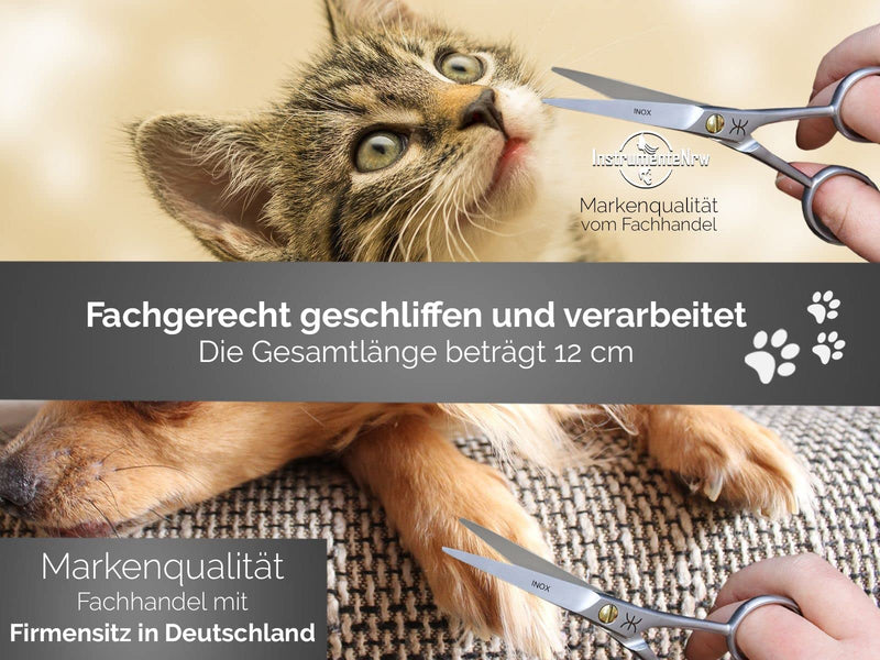 Grooming scissors, paw scissors, dog hair scissors, rounded 12 cm hair scissors with curved cutting surface for optimal grooming for dogs, cats and other pets - stainless steel - PawsPlanet Australia
