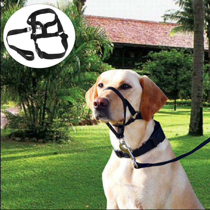 OTOTEC Dog Muzzle Adjustable Head Collar Buckle Stops Dogs Halter Pulling Halter Training Reigns - PawsPlanet Australia